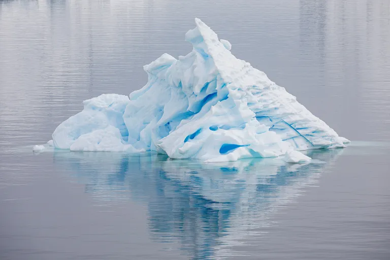 Iceberg