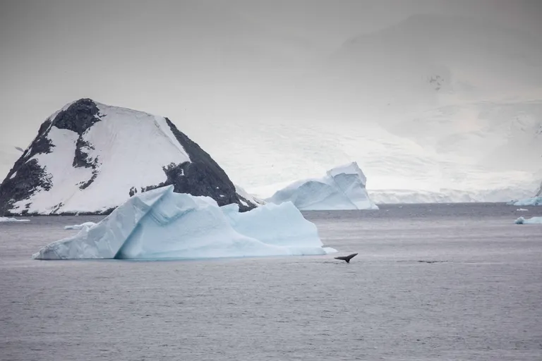 Wilhelmina Bay, Antarctica